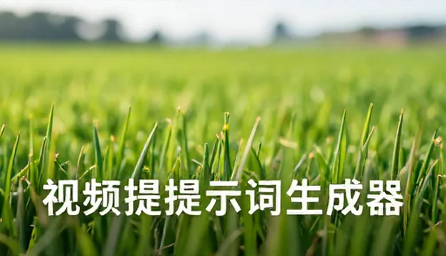prompt交易运营中的两种做法对比及实际取舍