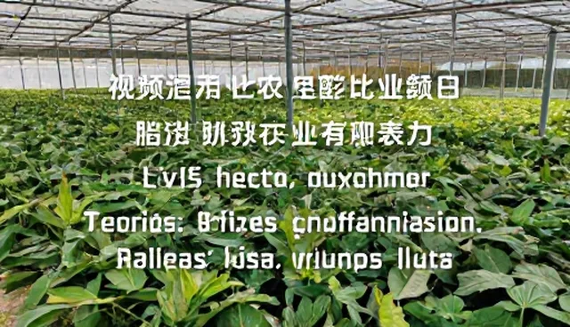 提示词交易大全,如何提升内容生成效率